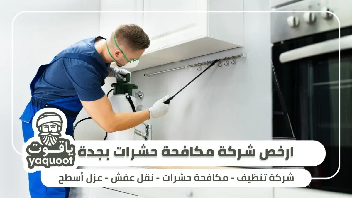 مميزات ارخص شركة مكافحة حشرات بجدة